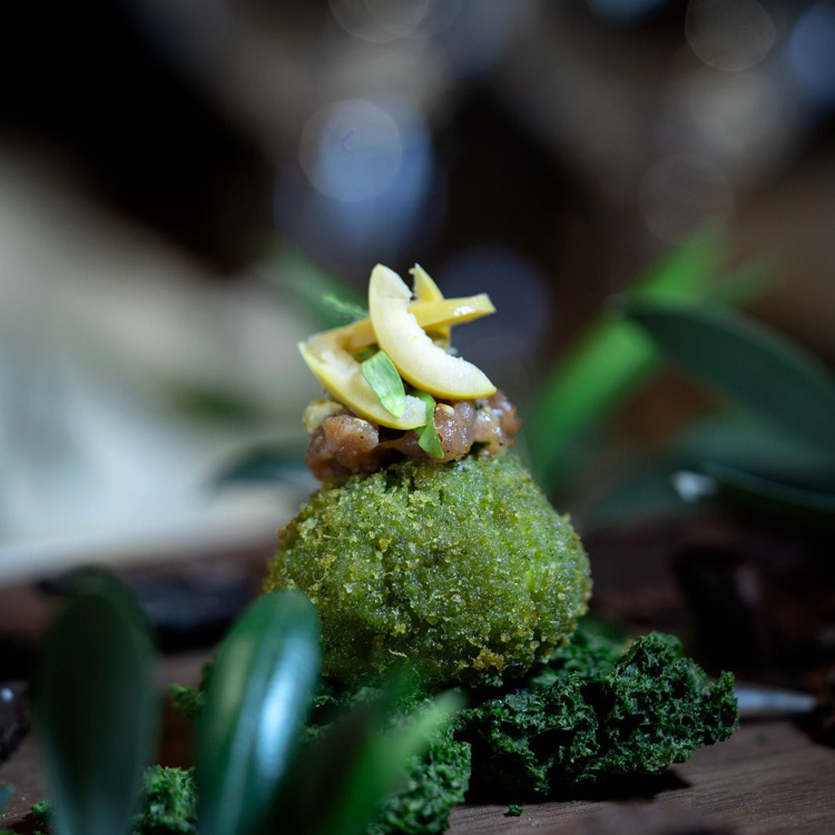 Creación gastronómica verde de Daniel García Peinado